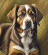 Doggy.jpg